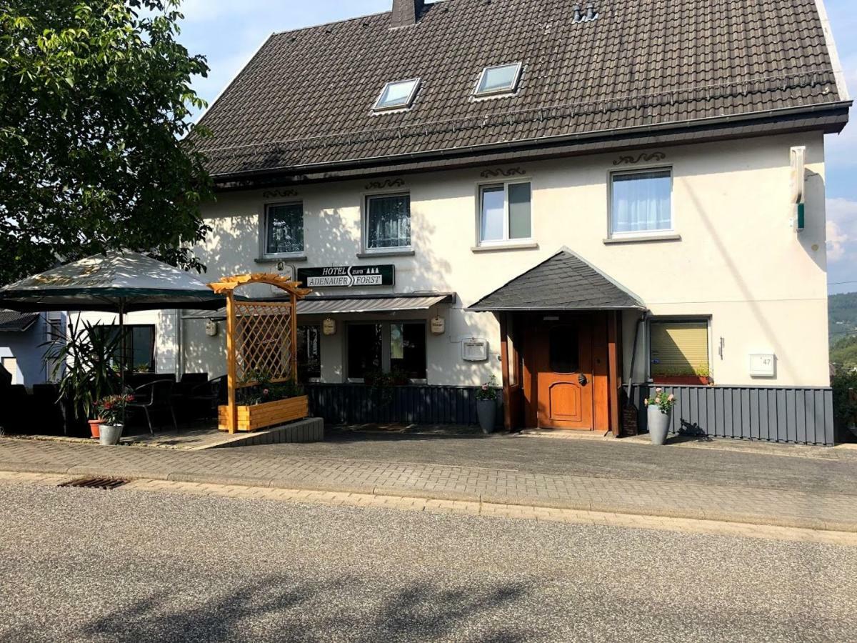 Hotel Garni Zum Adenauer Forst Wimbach 外观 照片